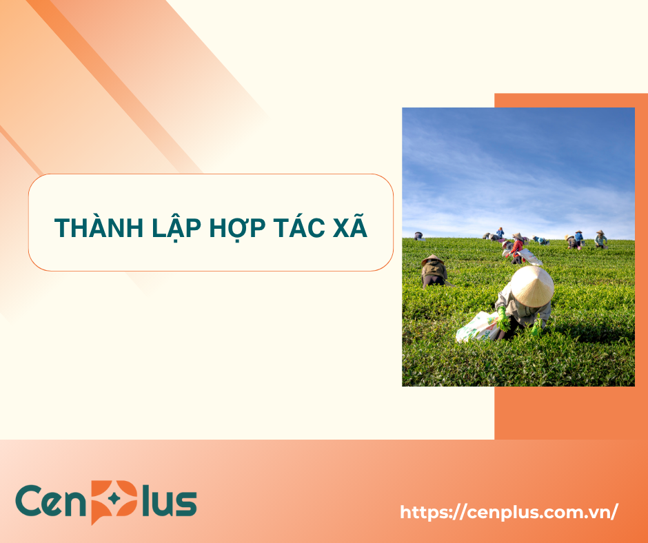 Thành lập hợp tác xã